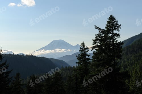 Preview: Mount Rainier Peaking Through The Clouds And The Surrounding Forest.