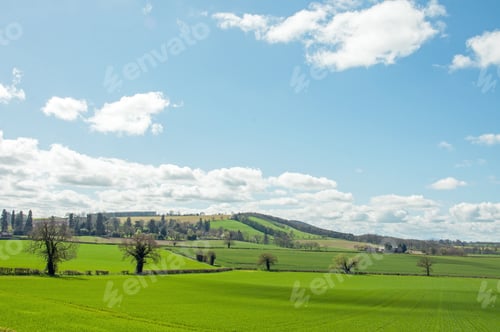 Preview: Yellow Fields Of Summertime In The English Countryside.