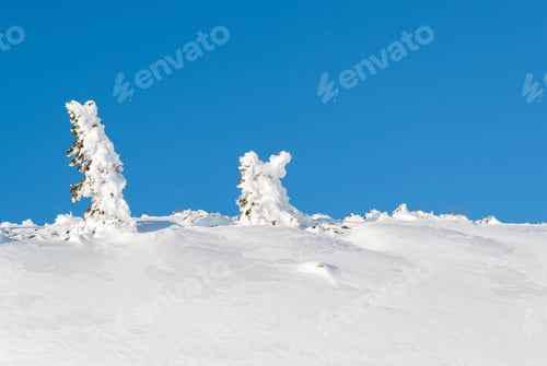 Preview: Winter Fairytale In The Mountains