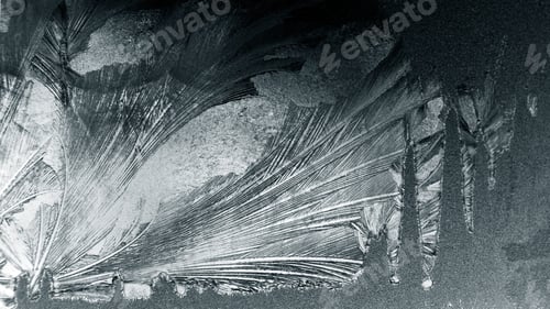 Preview: Ice Flowers On Glass - Texture And Background