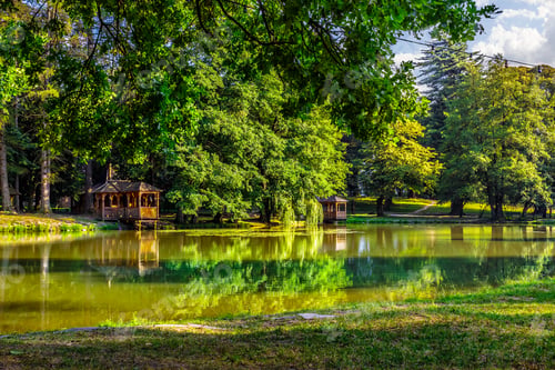 Preview: Reflections On The Pond In The Green Park In Early Morning