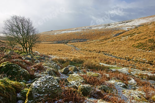 Preview: The West Dart River Valley And A Snowy Winter Scene Near To Wistman'S Wood, Dartmoor National Park