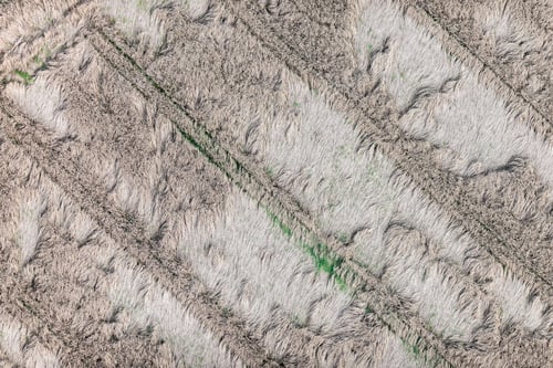 Preview: Aerial View Over The Rural Field