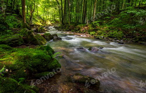 Preview: Rapid Stream Flow Through Ancient Green Carpathian Forest. Stones Covered With Moss Lay On The