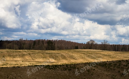 Preview: Processed Cereal Fields In Spring