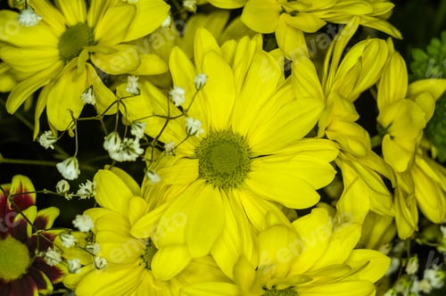 Preview: Beautiful Gift Bouquet Of Various Colorful Decorative Summer Flowers