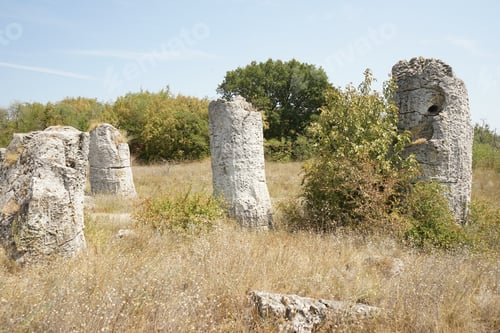 Preview: Pobiti Kamani (The Stone Desert), A Desert-Like Rock Phenomenon Located On The North West Varna