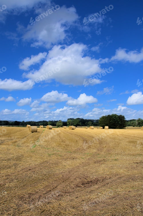 Preview: Straw Bales In The British Countryside.