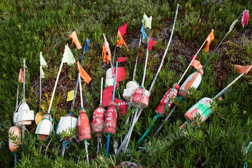 Preview: Buoy Or Float With Flag To Indicate The Location Of The Fishing Net In The Water