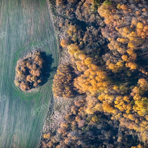 Preview: Aerial View Over The Colourful Trees And Fields In Autumn