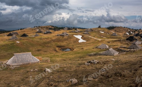 Preview: Spring Crocus At Velika Planina In Slovenia With Old Shepherd Cottages All Around.