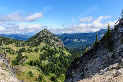 Preview: Mount Rainier Peaking Through The Clouds And The Surrounding Forest.