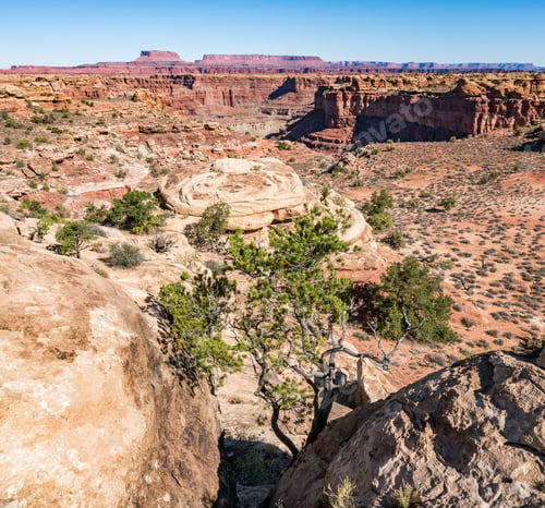 Preview: Slick Rock Walk, Neddles, Canyonelands National Park In Fall, Usa