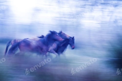 Preview: Running Wild Horses. Motion Blur Background. Abstract Nature And Animals Photos.