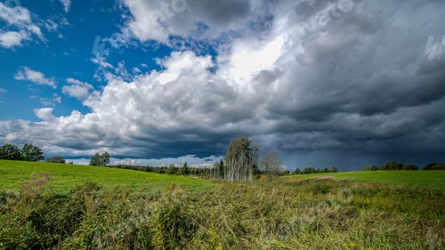 Preview: Beautiful Countryside Landscape. Natural Environmental Detail View In Latvia