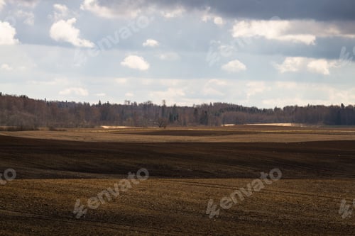 Preview: Processed Cereal Fields In Spring