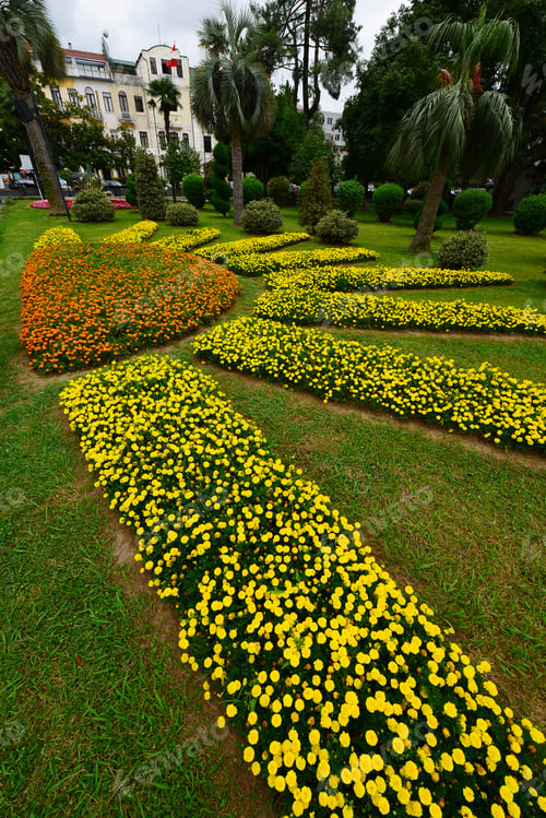 Preview: Sunflower Form Flowerbed In Batumi