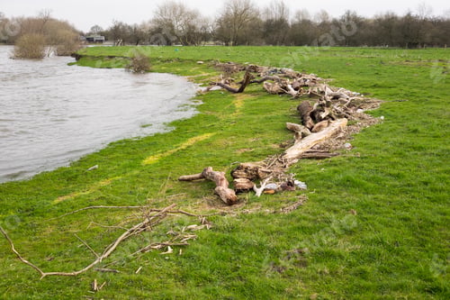 Preview: Flood Debris Left Behind At The High Water Mark