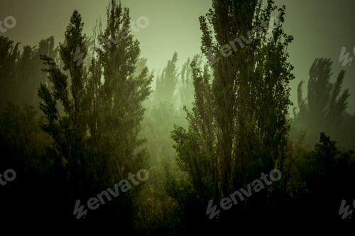 Preview: Landscape With Trees In Heavy Summer Rainstorm