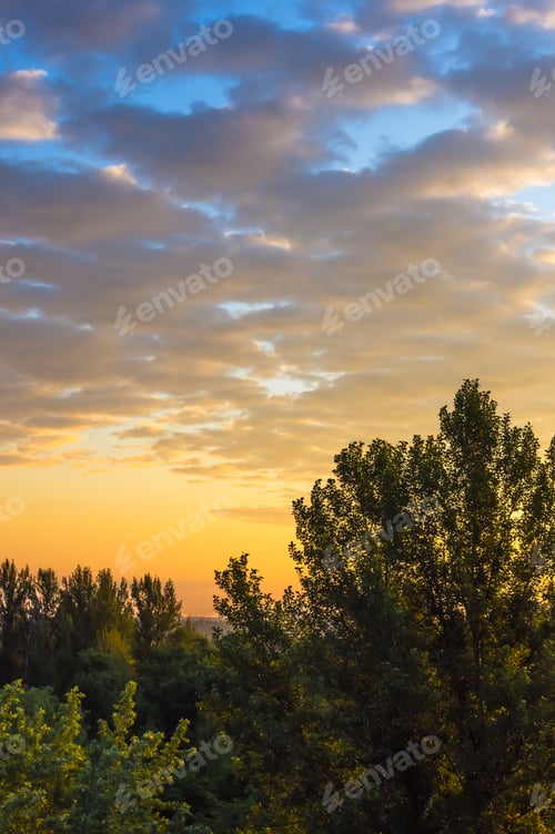 Preview: Landscape With Dramatic Light - Orange Clouds And The Outline Of Trees At Sunset