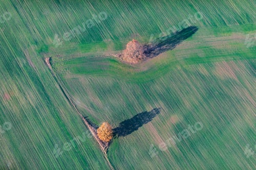 Preview: Aerial View Over The Rural Fields In Autumn