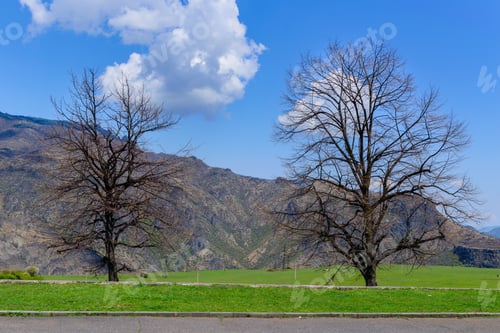 Preview: Amazing Spring Landscape With Trees And Mountains, Armenia