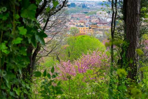 Preview: Trastevere Neighbourhood From Gianicolo Hill In Rome City Of Italy In Europe