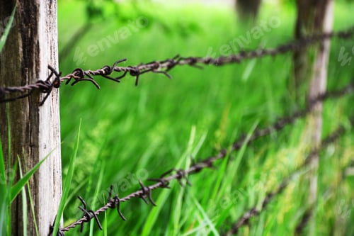 Preview: A Green Field Of Grass Surrounded By Barbed Wire