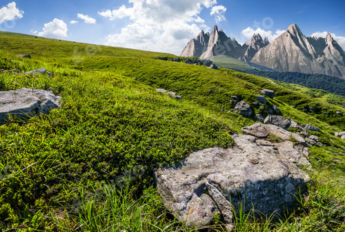 Preview: High Tatra Mountain Summer Landscape. Meadow With Huge Stones Among The Grass On Top Of The