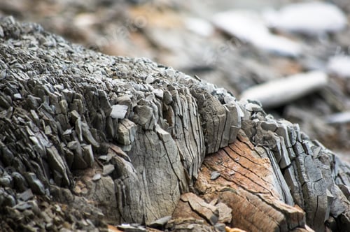 Preview: Rocks And Stones Of The Sea Coast