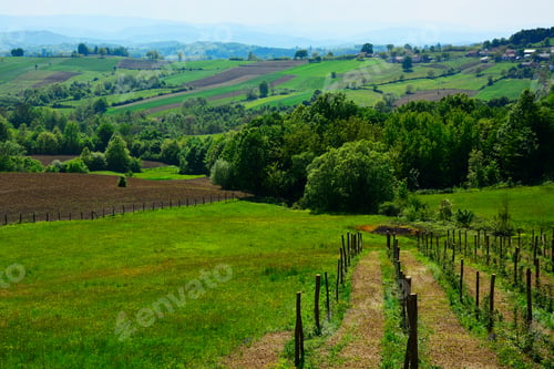 Preview: Spring Green Valley Panoramic Landscape.Pastoral Green Field