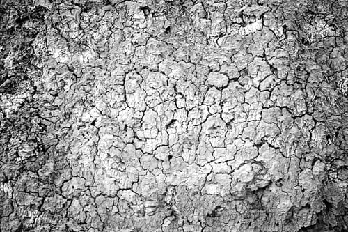 Preview: Dry Land In A Field, Detail Of A Drought, Climate Damage, Catastrophe, Textured Background