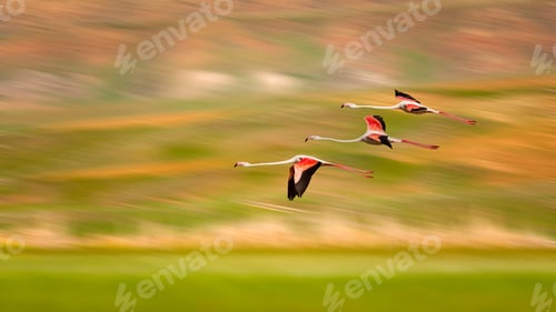Preview: Flying Bird. Colorful Nature. Motion Blur Background.