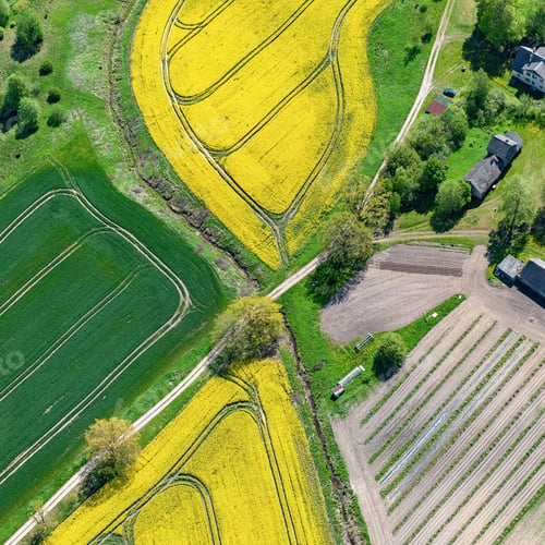 Preview: Aerial View Over The Rural Fields In Summer Time