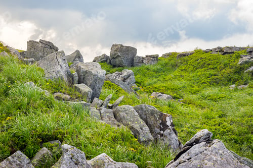 Preview: White Sharp Boulders On The Grassy Meadow With Some Dandelions On The Edge Of High Mountain Range