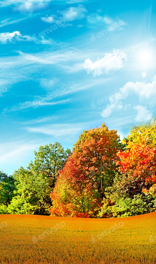 Preview: Autumn Landscape