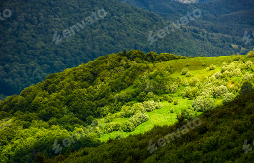 Preview: Grassy Slopes Of Carpathian Mountains. Beautiful Summer Landscape On A Cloudy Day. Location Runa