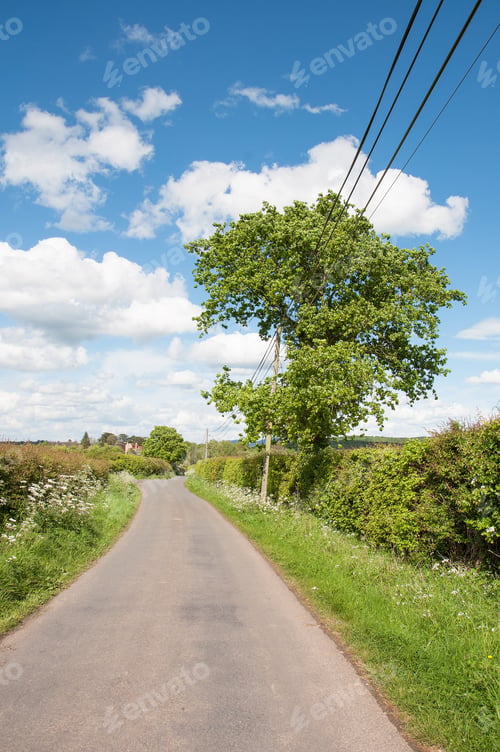 Preview: Summertime Country Roads In The British Countryside.