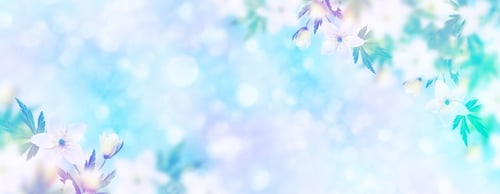 Preview: The First Delicate Spring Flower Snowdrop.