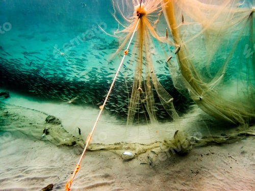 Preview: Fish And Fishing Nets Views Around Curacao A Small Caribbean Island