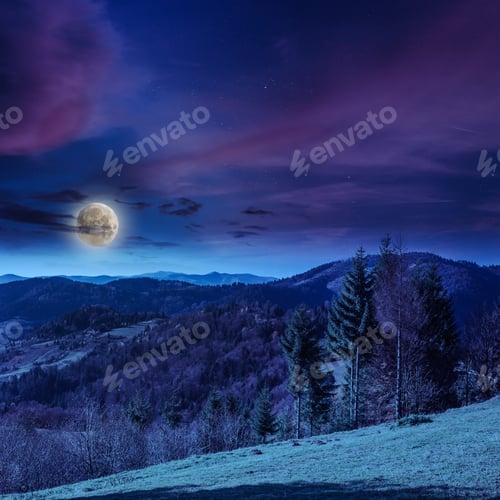 Preview: Coniferous Forest On A Steep Mountain Slope At Night