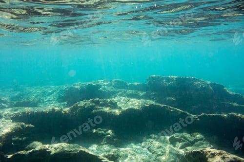Preview: Underwater Texture And Fauna In Ionian Sea, Zakynthos, Greece