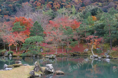 Preview: Kyoto, Japan - Tenryuji Gardens In Arashiyama. Autumn Leaves.