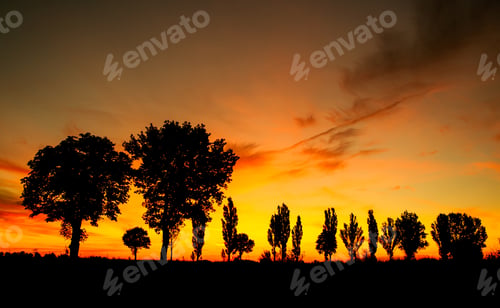 Preview: After Sunset Landscape