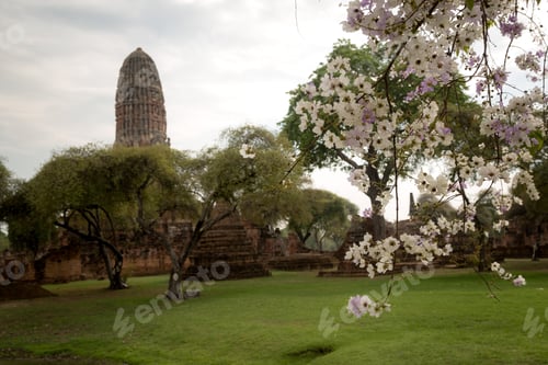 Preview: Old Beautiful Thai Temple Wat Mahathat, Ayutthaya Historical Park, Ayutthaya, Thailand