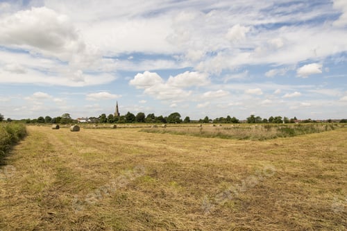 Preview: Empty Field