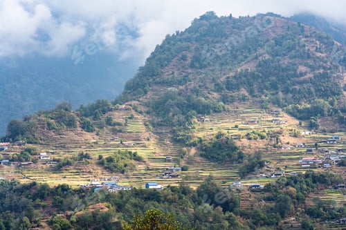 Preview: Aerial View Of Beautiful Green And Colorful Rice Field Terraces, Himalayas, Nepal On Annapurna