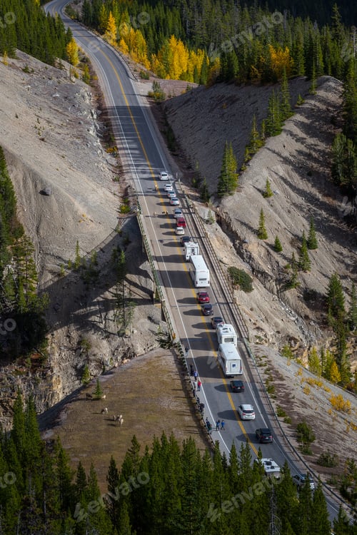 Preview: Scenic Icefields Parkway Road 93 With Wildlife Near The Road