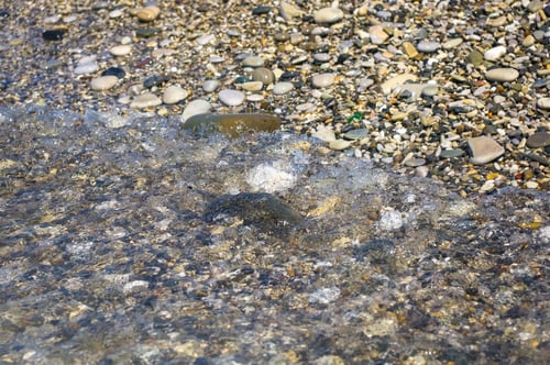 Preview: Sea Pebble Beach With Multicoloured Stones, Transparent Waves With Foam, On A Warm Summer Day