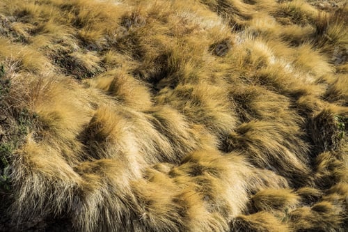 Preview: Landscape View Of The Simien Mountains National Park In Northern Ethiopia